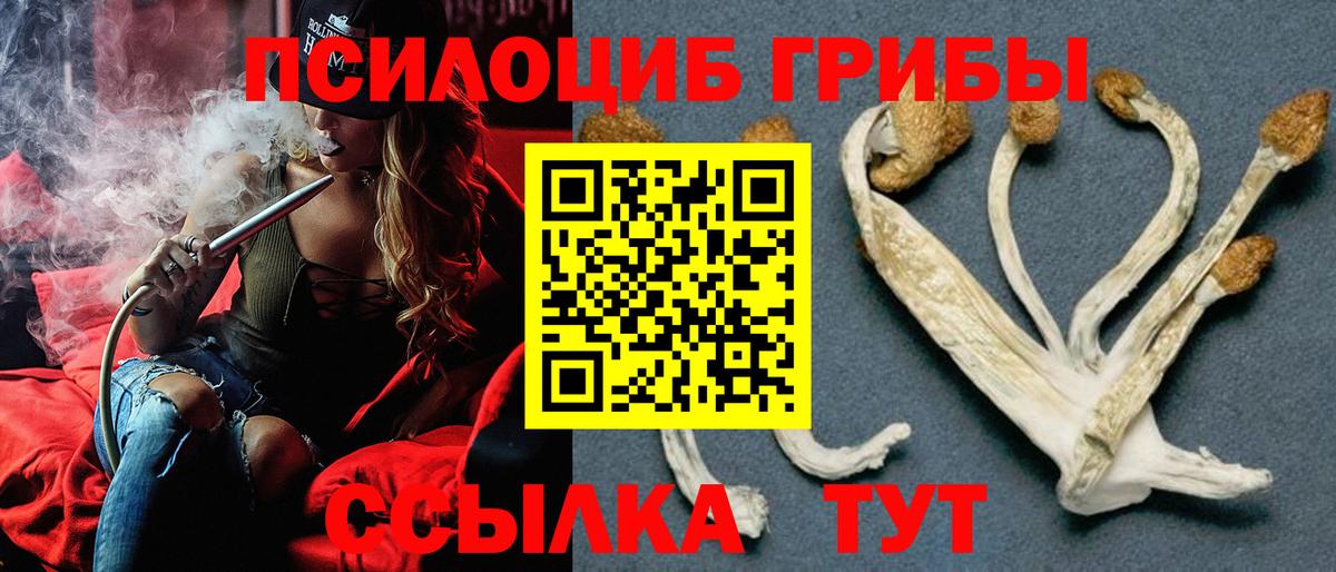 Псилоцибиновые грибы мицелий Калач-на-Дону